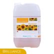 Brilliance BioSoap - Fapadló szappan - 5L