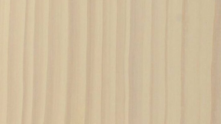 Pácminta WNS 20201 színárnyalattal